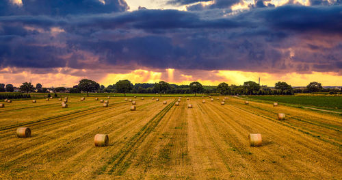 Farmers field in front of a moody sunset cologne germany