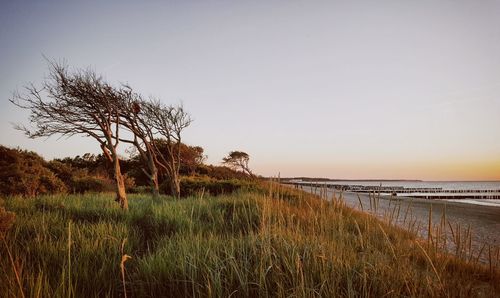 Scenic view of calm sea against clear sky