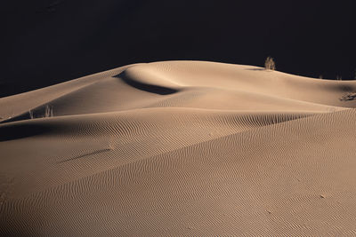 Sand dunes in a desert