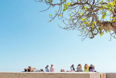 People sitting on concrete wall against clear blue sky