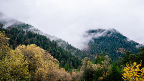 Scenic view of trees and mountains against sky