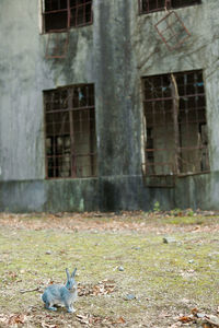 View of an abandoned building