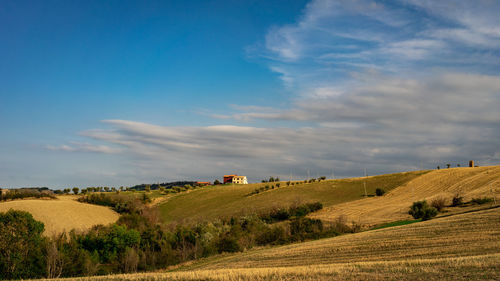 Scenic view of field against sky