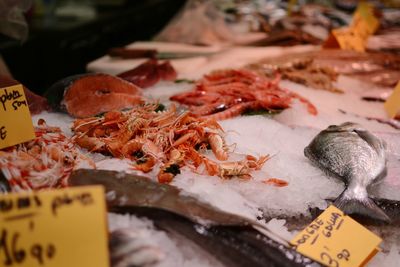 Close-up of seafood on crushed ice for sale in market