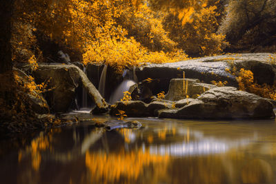 Scenic view of lake in forest during autumn