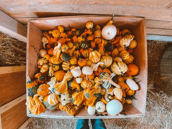 High angle view of pumpkins on wood