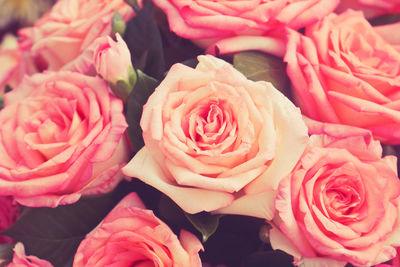 Close-up of rose bouquet