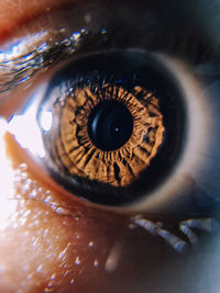 Close-up of human eye