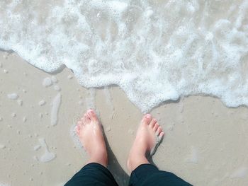 Low section of person standing on beach