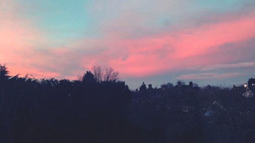Silhouette trees in forest against sky during sunset