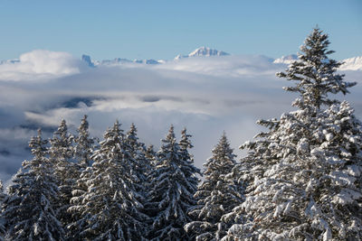 winter