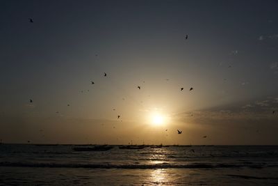 Birds flying over sea at sunset