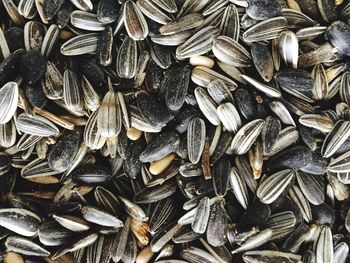 Full frame shot of sunflower seeds