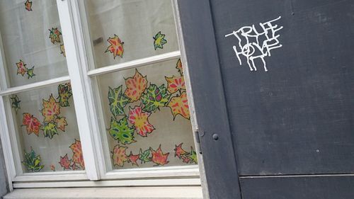 Multi colored flowers on wall