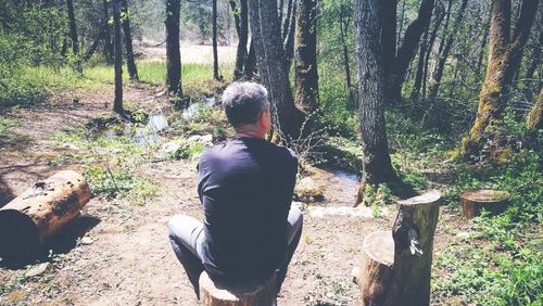 Rear view of man walking in forest