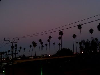 Palm trees against sky at sunset