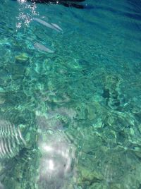 Close-up of water in swimming pool