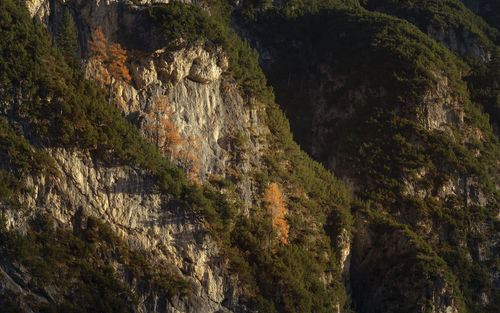 Low angle view of rocks on mountain