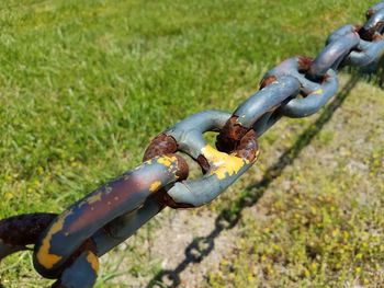 Close-up of rusty chain on field