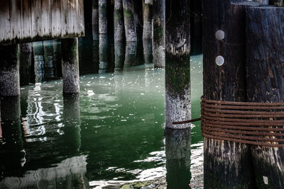 Wooden posts in river