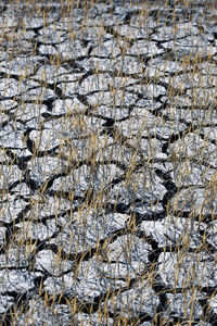 Full frame shot of snow on field