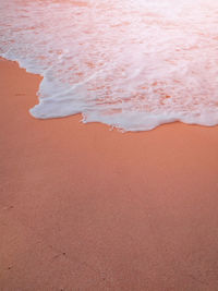 Scenic view of beach