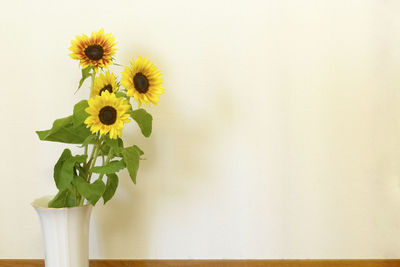 Close-up of yellow flower vase against white wall