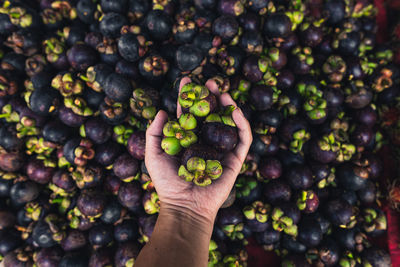 Midsection of man holding fruits