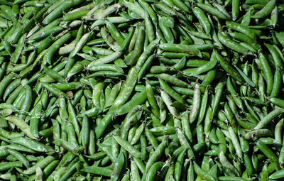 Full frame shot of green beans for sale at market