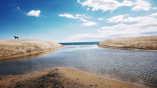 Scenic view of beach against sky