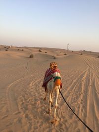 View of people riding horse in desert against sky