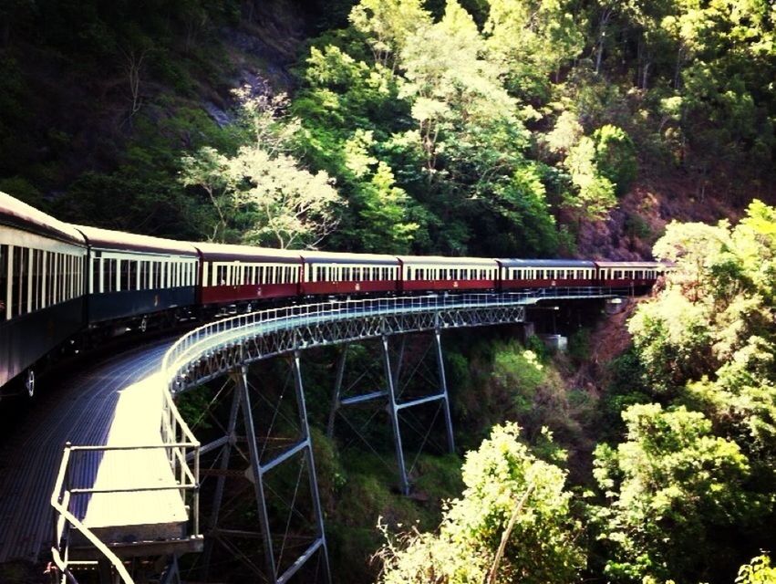 bridge - man made structure, connection, tree, transportation, built structure, railing, architecture, footbridge, bridge, rail transportation, growth, engineering, railroad track, no people, day, outdoors, river, public transportation, nature, plant