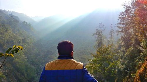 Rear view of man in forest against sky