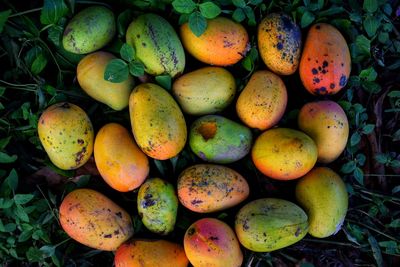 High angle view of fruits