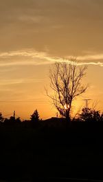 Silhouette bare trees against sky during sunset