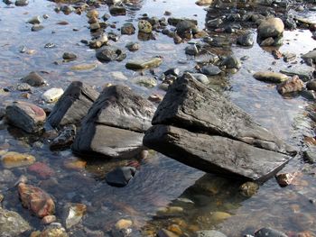 High angle view of crab on beach