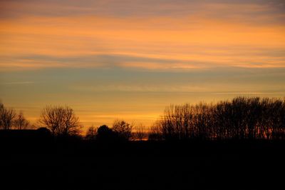Silhouette trees on field against orange sky