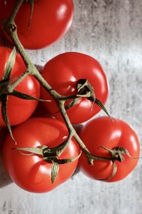 Close-up of red tomatoes