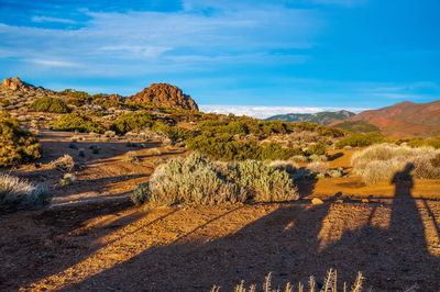 Scenic view of landscape against sky