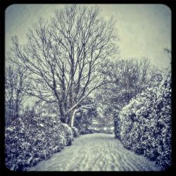 Road passing through landscape