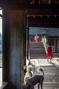 Rear view of people with dog