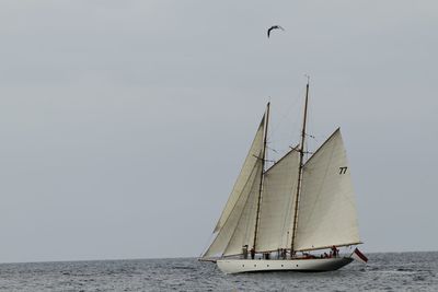 View of boats in sea