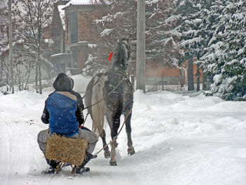 Full length of a horse on snow covered landscape