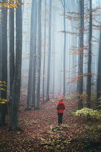 Rear view of man standing in forest during autumn