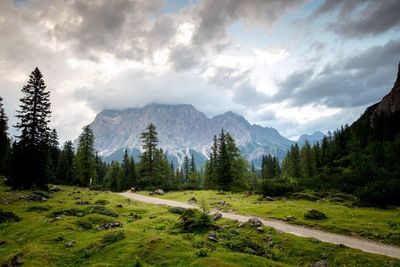 Scenic view of forest and mountains against sky