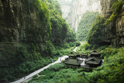 Scenic view of waterfall in forest