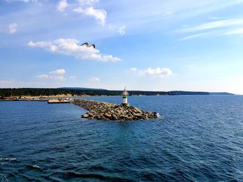 Birds on rock in sea against sky