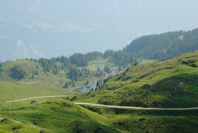 Idyllic green landscape from switzerland