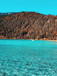 Scenic view of sea against clear blue sky