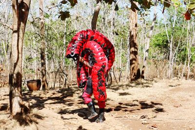 Man carrying hiking equipment in forest